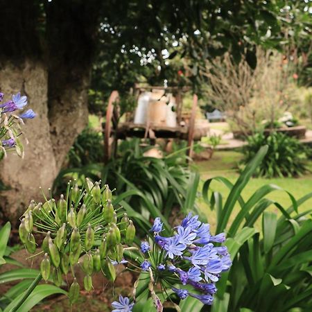 La Huerta Villa Mazamitla Eksteriør billede